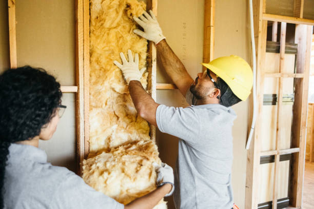 Best Garage Insulation  in Essex, MD